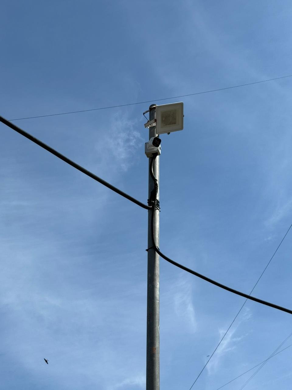 Pole-mounted camera with lighting and power